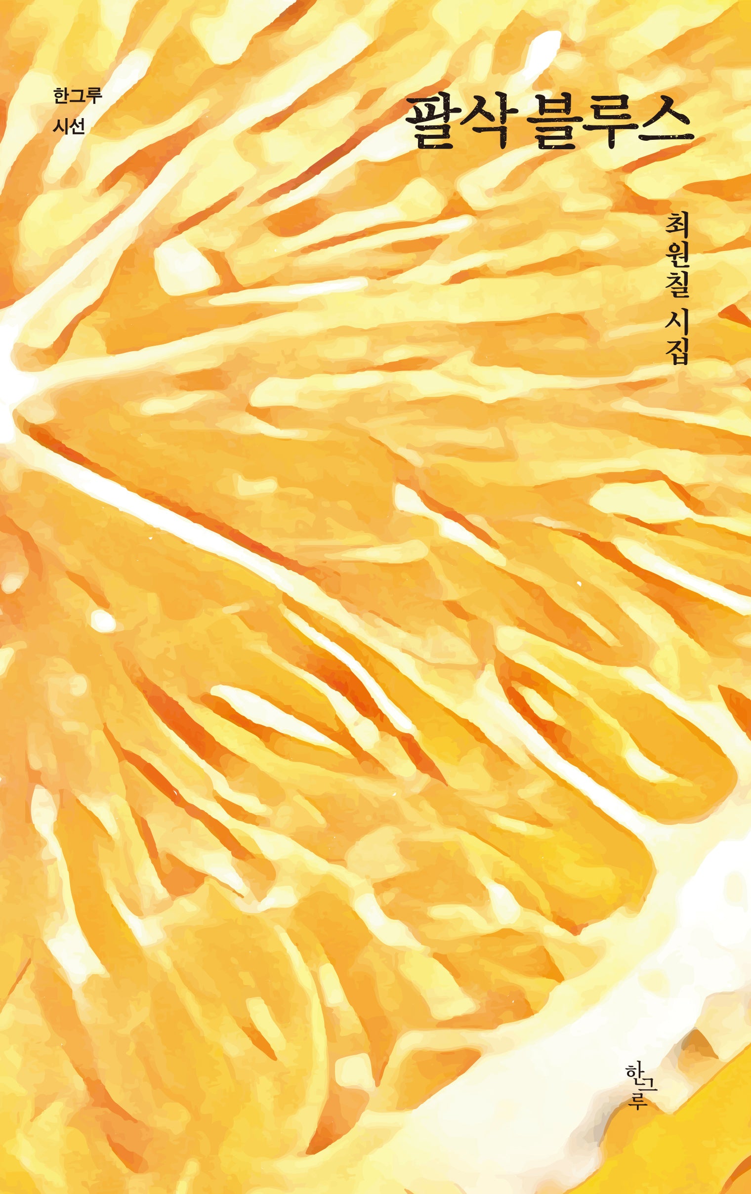 팔삭 블루스(한그루시선 48)