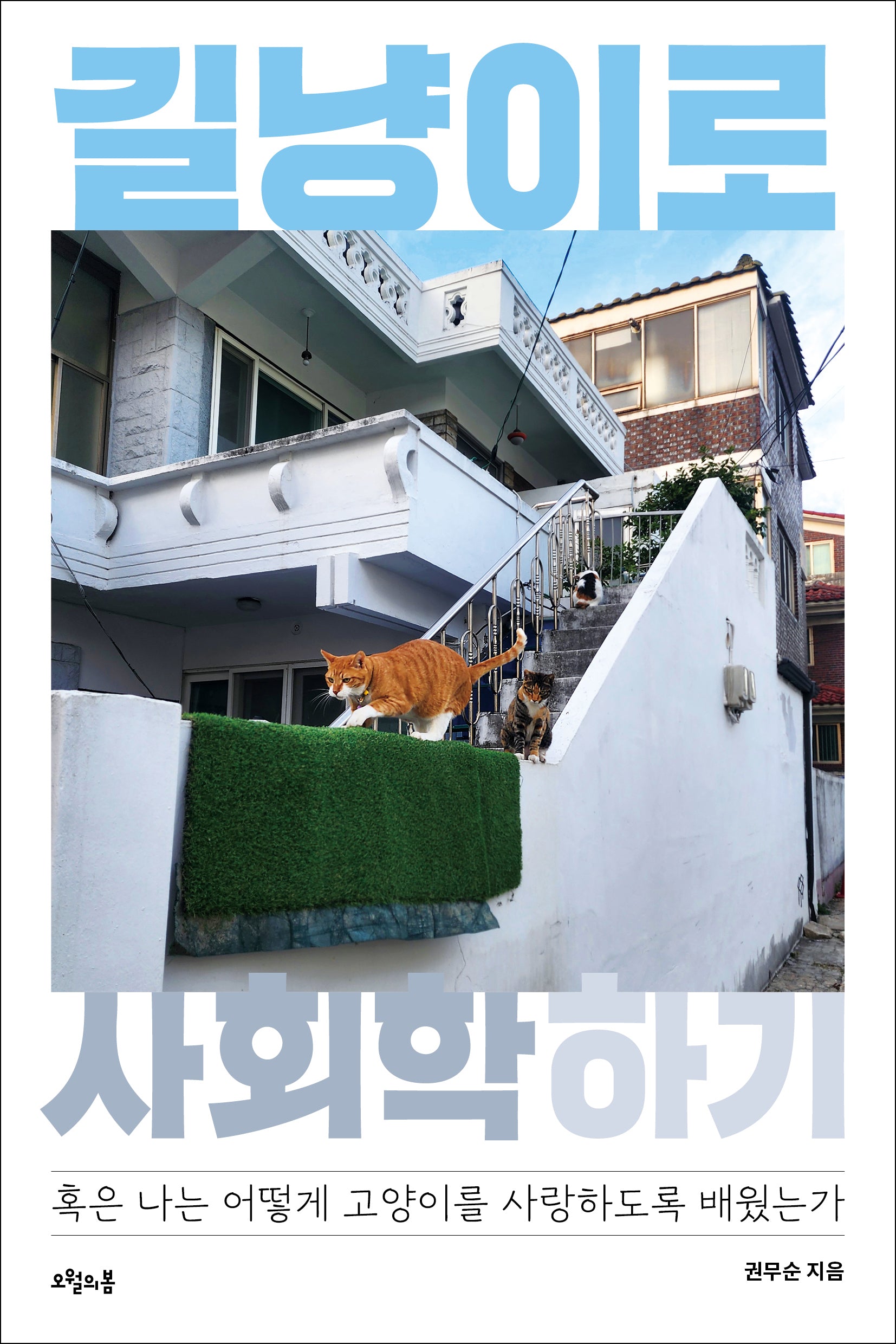 길냥이로 사회학 하기