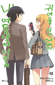 내 여동생이 이렇게 귀여울 리가 없어 12(엔티노벨(NT Novel))