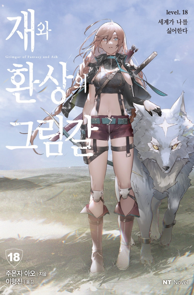 재와 환상의 그림갈 18(엔티노벨(NT Novel))