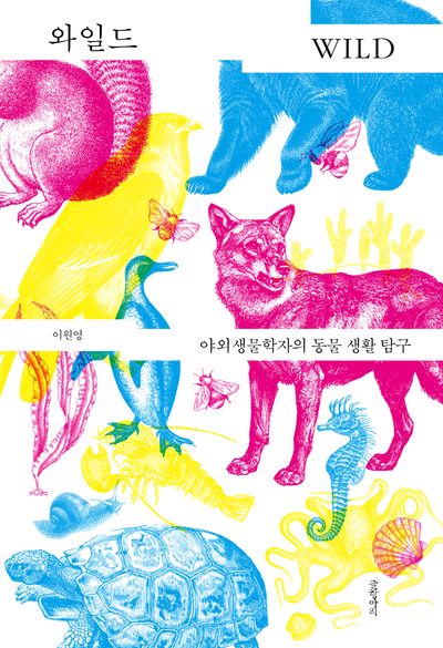 와일드