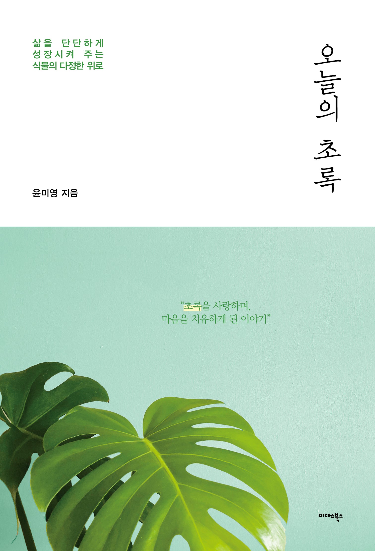 오늘의 초록