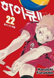 하이큐!! 22