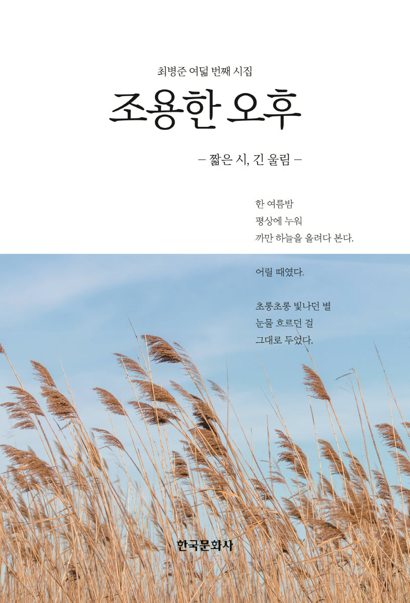 조용한 오후