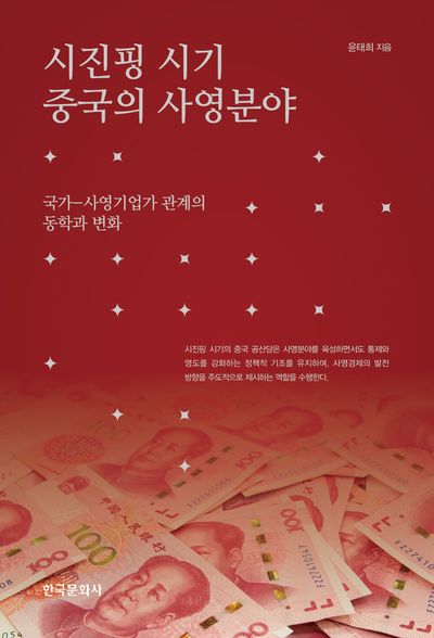시진핑 시기 중국의 사영분야