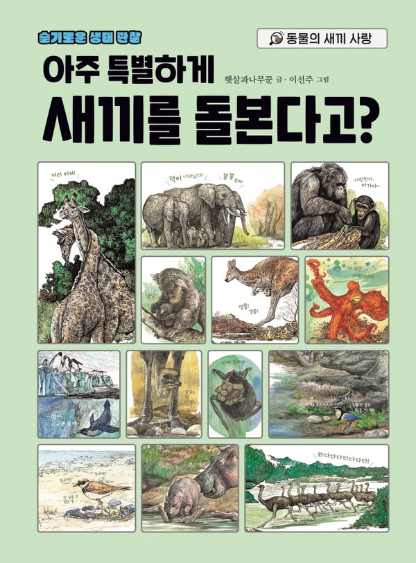 아주 특별하게 새끼를 돌본다고?(슬기로운 생태 관찰)