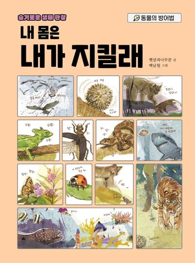 내 몸은 내가 지킬래(슬기로운 생태 관찰)