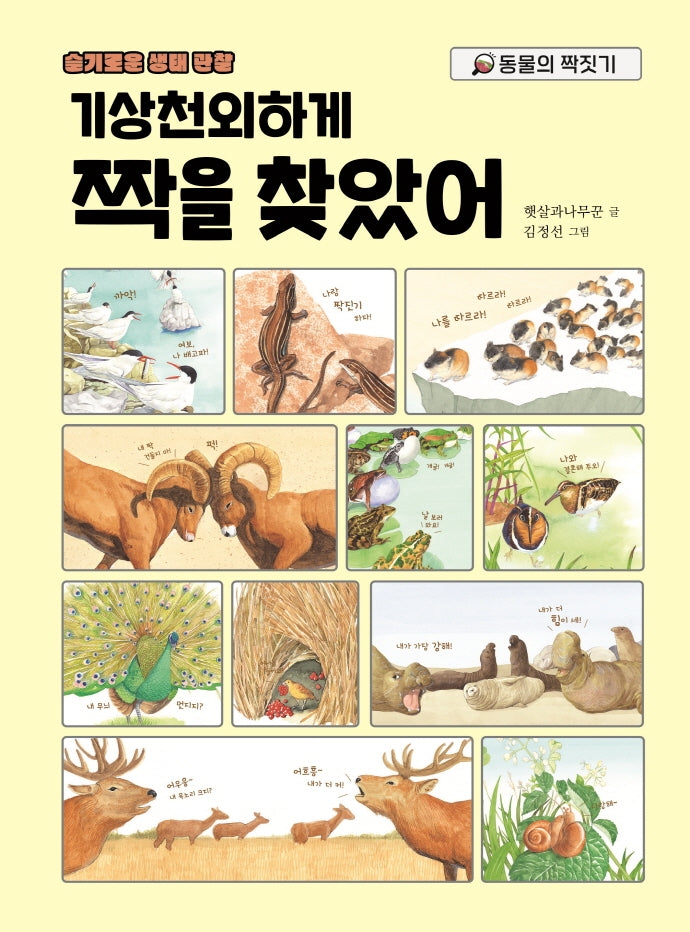 기상천외하게 짝을 찾았어(슬기로운 생태 관찰)