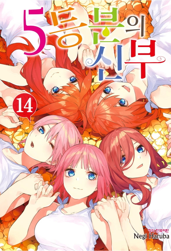 5등분의 신부 14