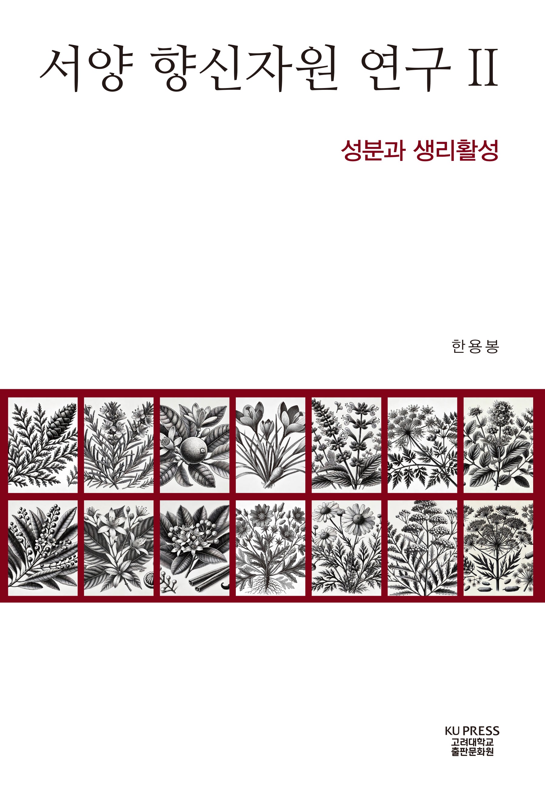 서양 향신자원 연구 2