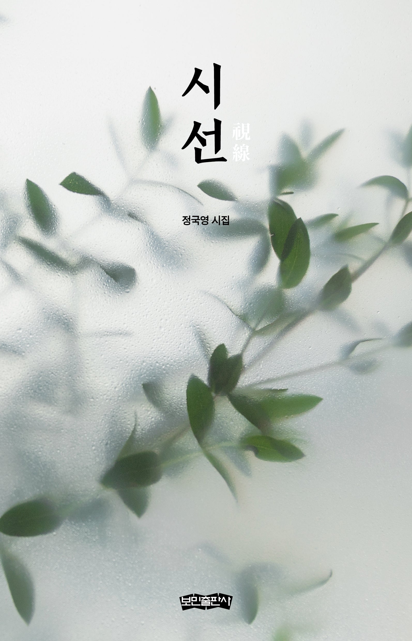시선