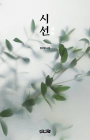 시선