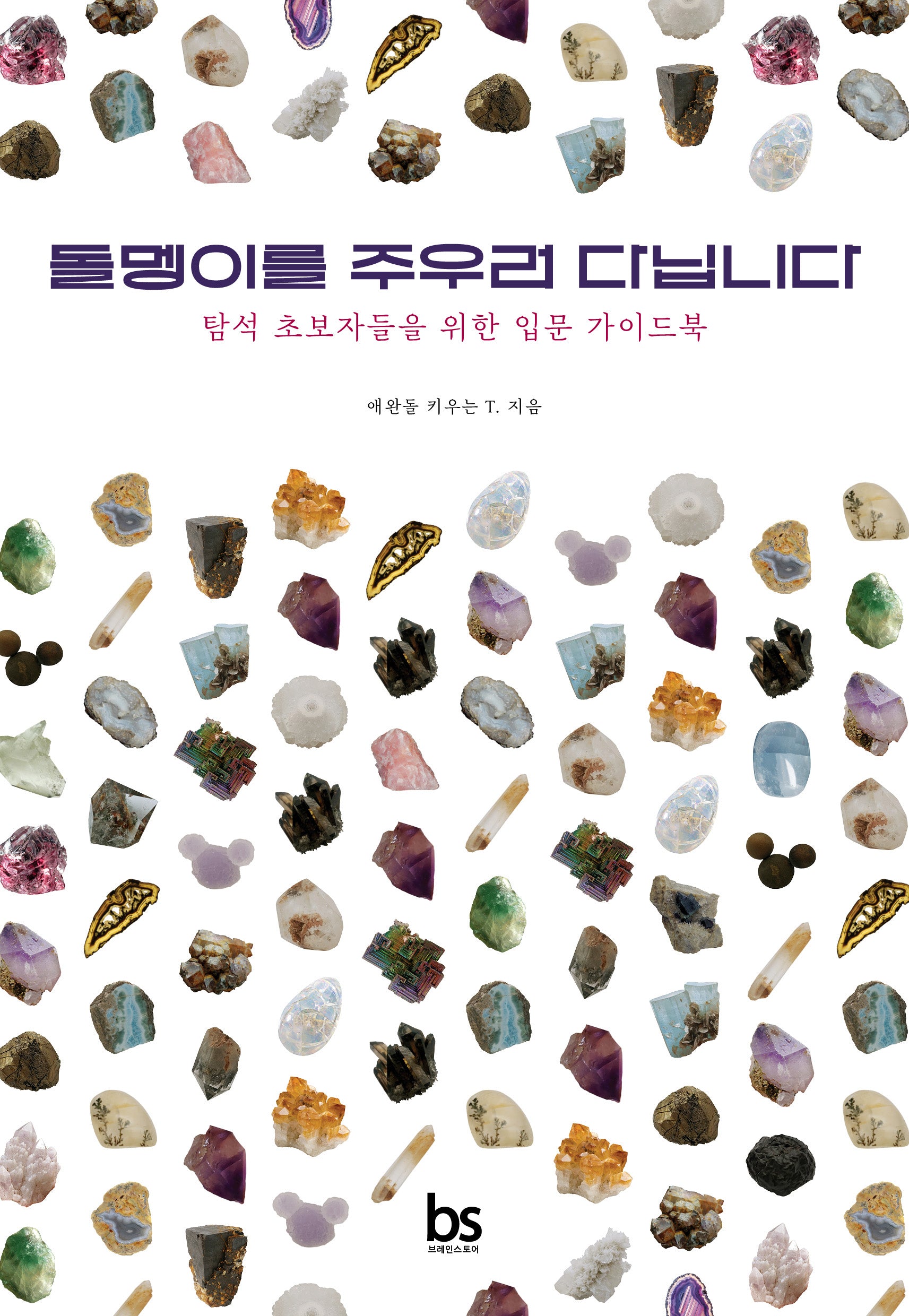 돌멩이를 주우러 다닙니다