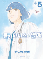 플라타너스의 열매 5
