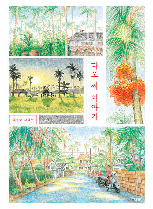 타오 씨 이야기(양장본 Hardcover)