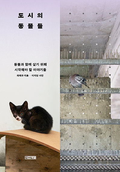 도시의 동물들