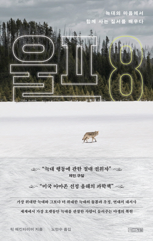 울프 8