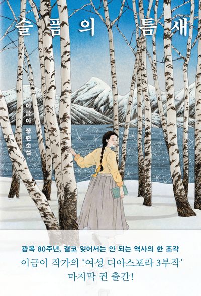 슬픔의 틈새 2(큰글자도서)(큰글자도서 라이브러리)