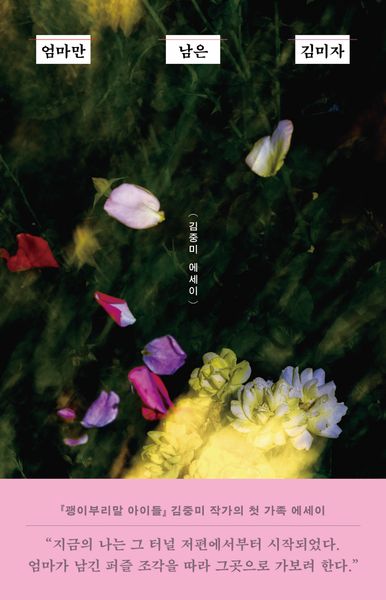 엄마만 남은 김미자(큰글자도서)(큰글자도서 라이브러리)