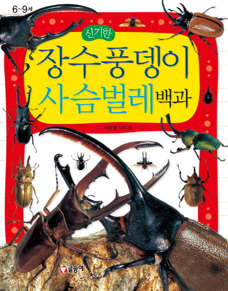 장수풍뎅이 사슴벌레 백과(신기한)(어린이 과학백과 10)(양장본 Hardcover)