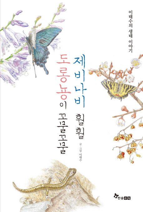 도롱뇽이 꼬물꼬물 제비나비 훨훨(양장본 Hardcover)