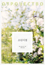 소년시절(톨스토이 클래식 12)