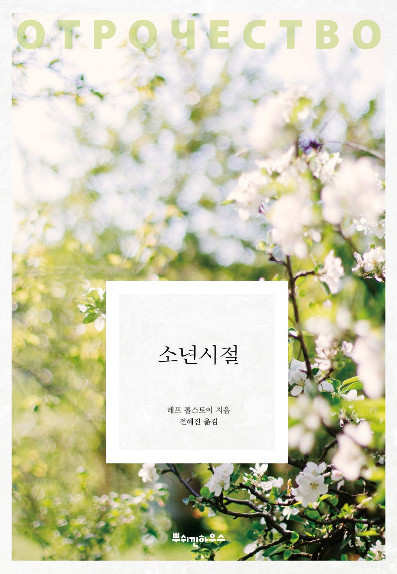 소년시절(톨스토이 클래식 12)