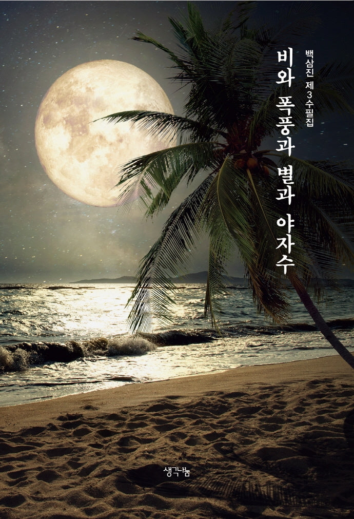 비와 폭풍과 별과 야자수