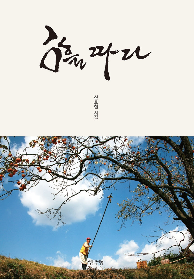 감을 따다