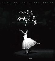 다시 못 올 새벽의 춤(안무작품집)(양장본 HardCover)