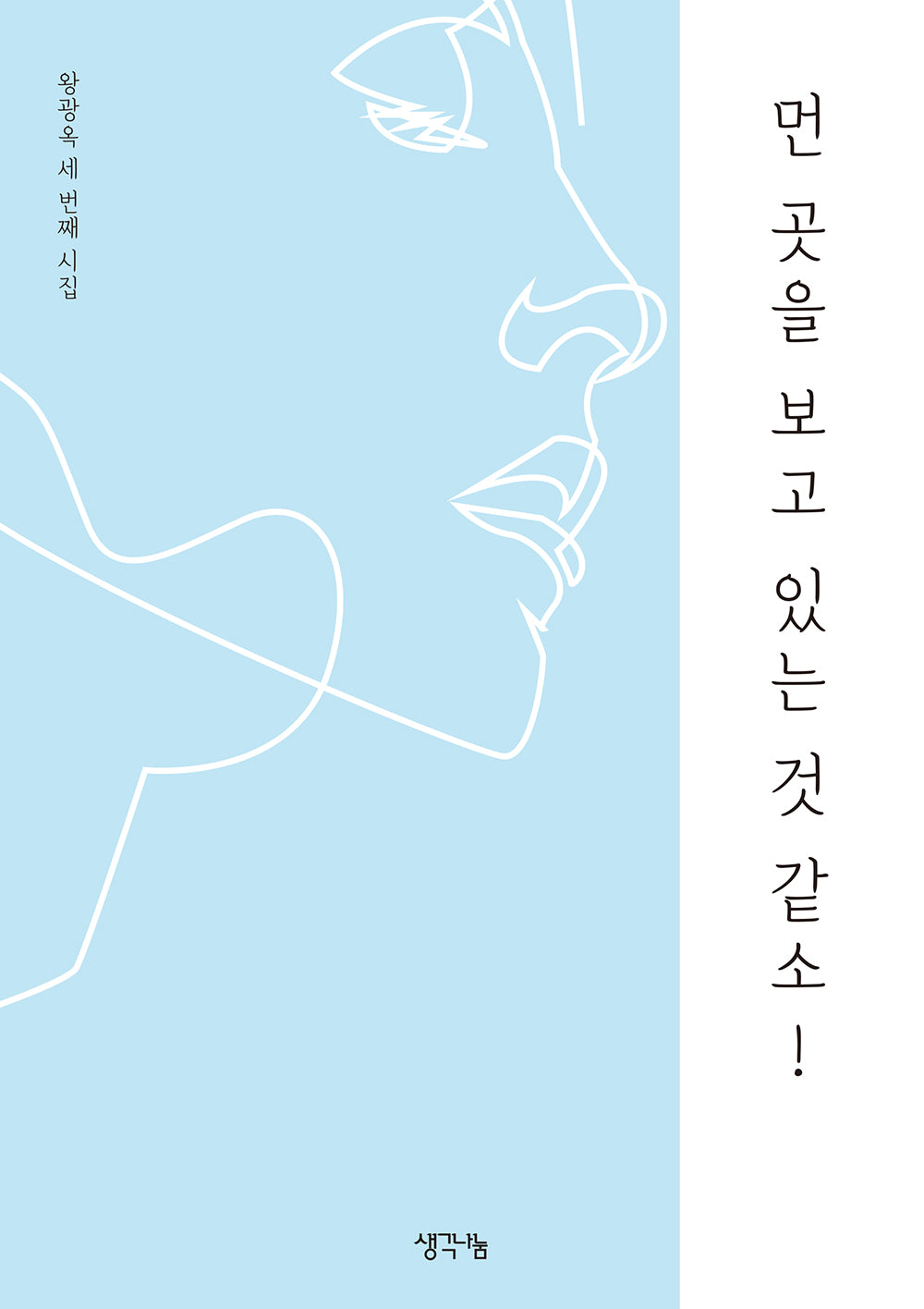 먼 곳을 보고 있는 것 같소!