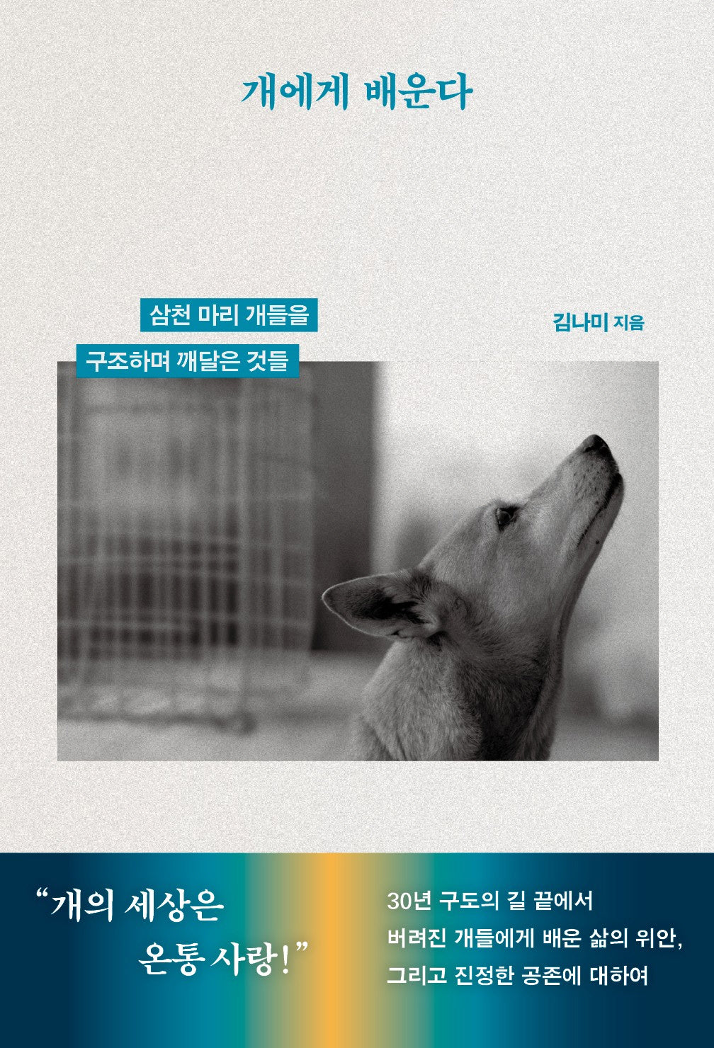 개에게 배운다