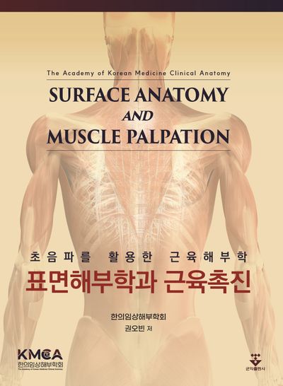 표면해부학과 근육촉진