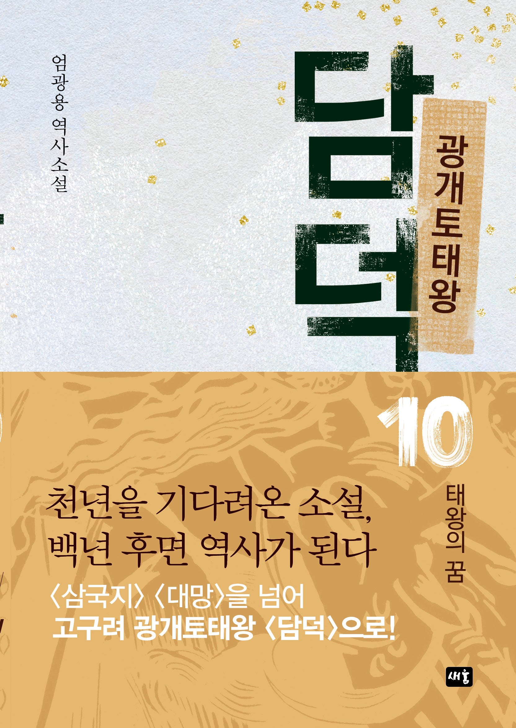 광개토태왕 담덕10: 태왕의 꿈(양장본 Hardcover)