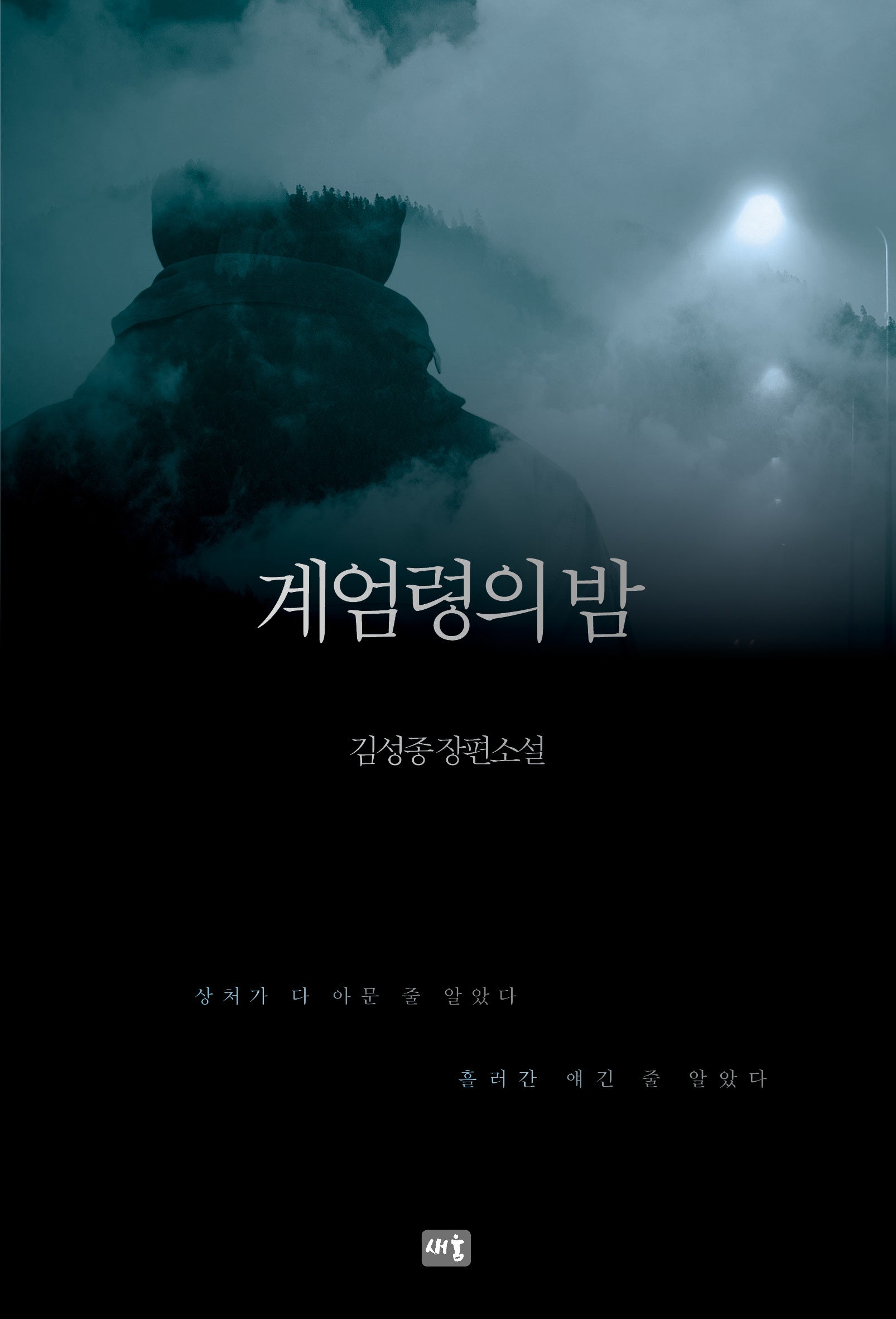 계엄령의 밤(개정판)