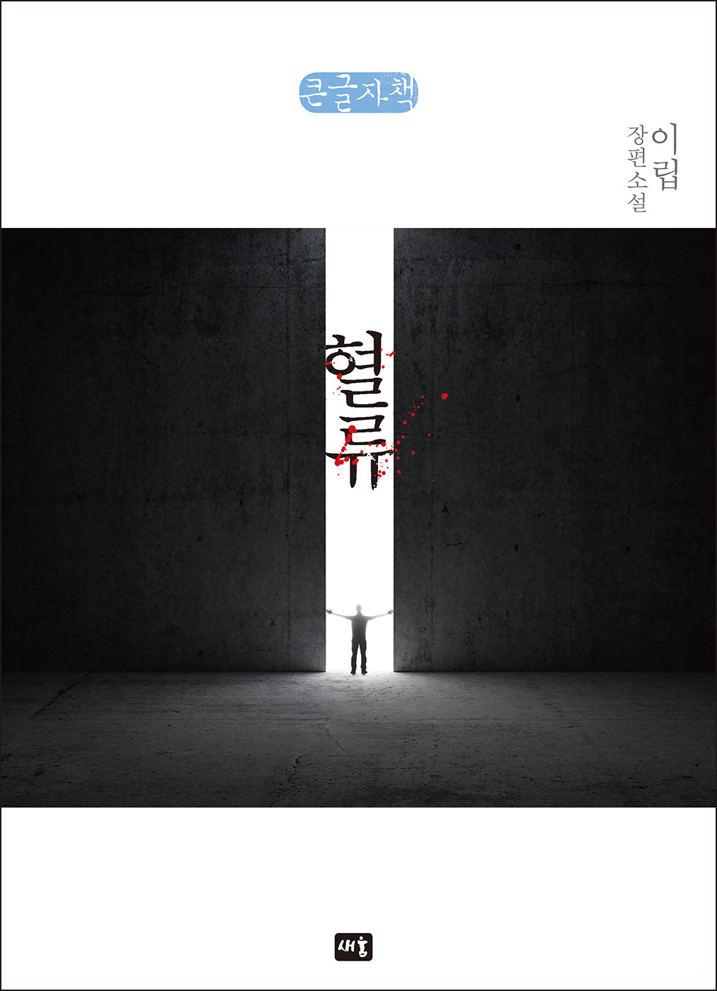 혈류(큰글자책)