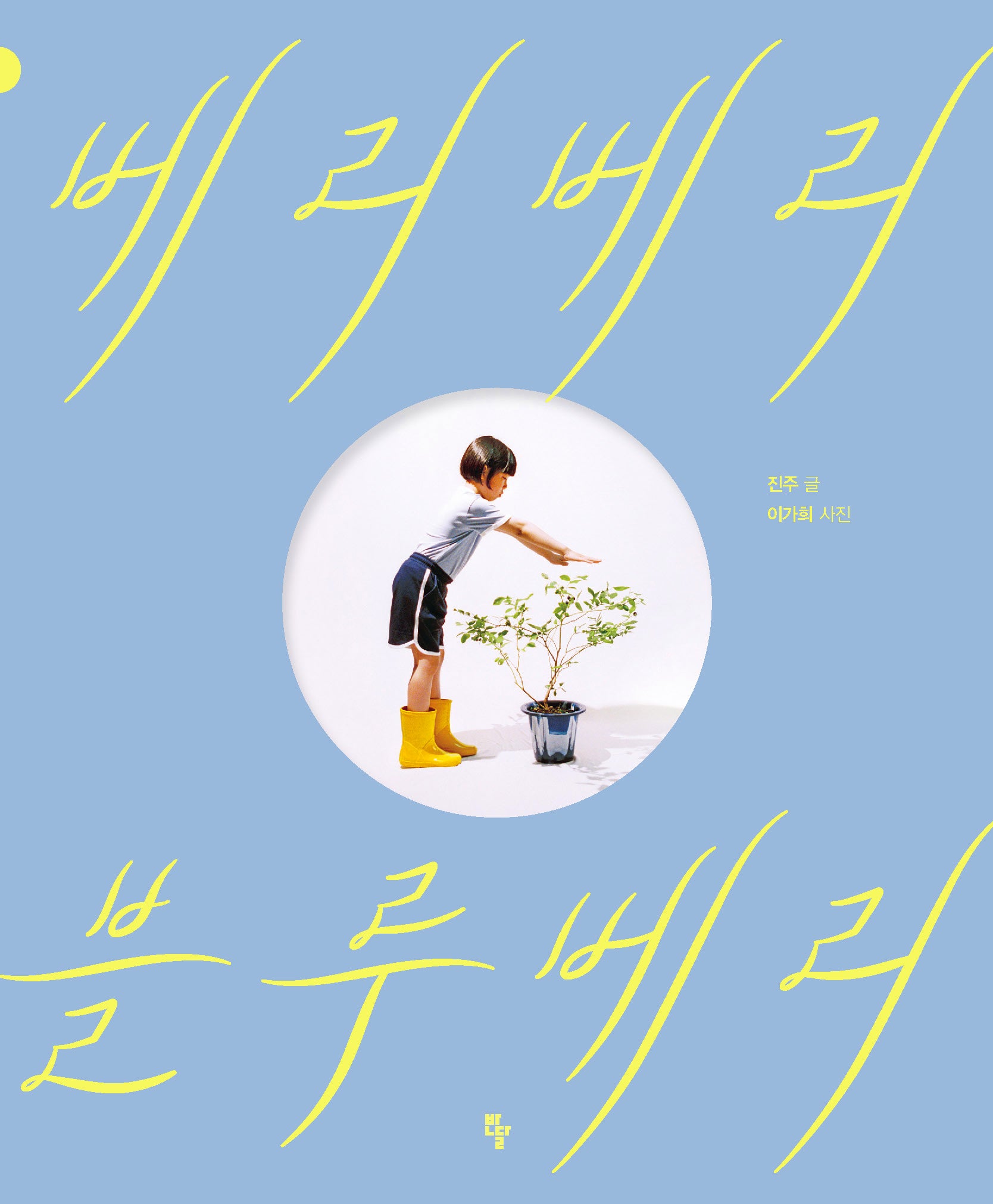 베리베리 블루베리
