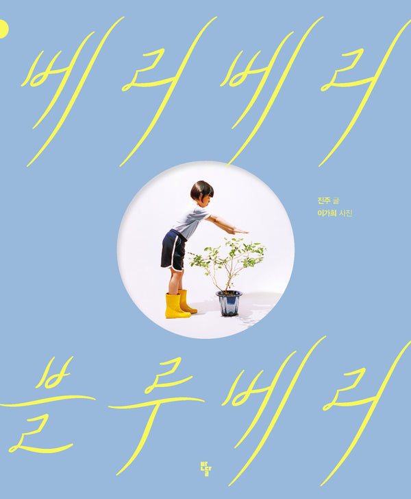 베리베리 블루베리