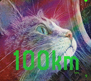 100km