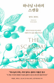 하나님 나라의 스캔들(반양장)