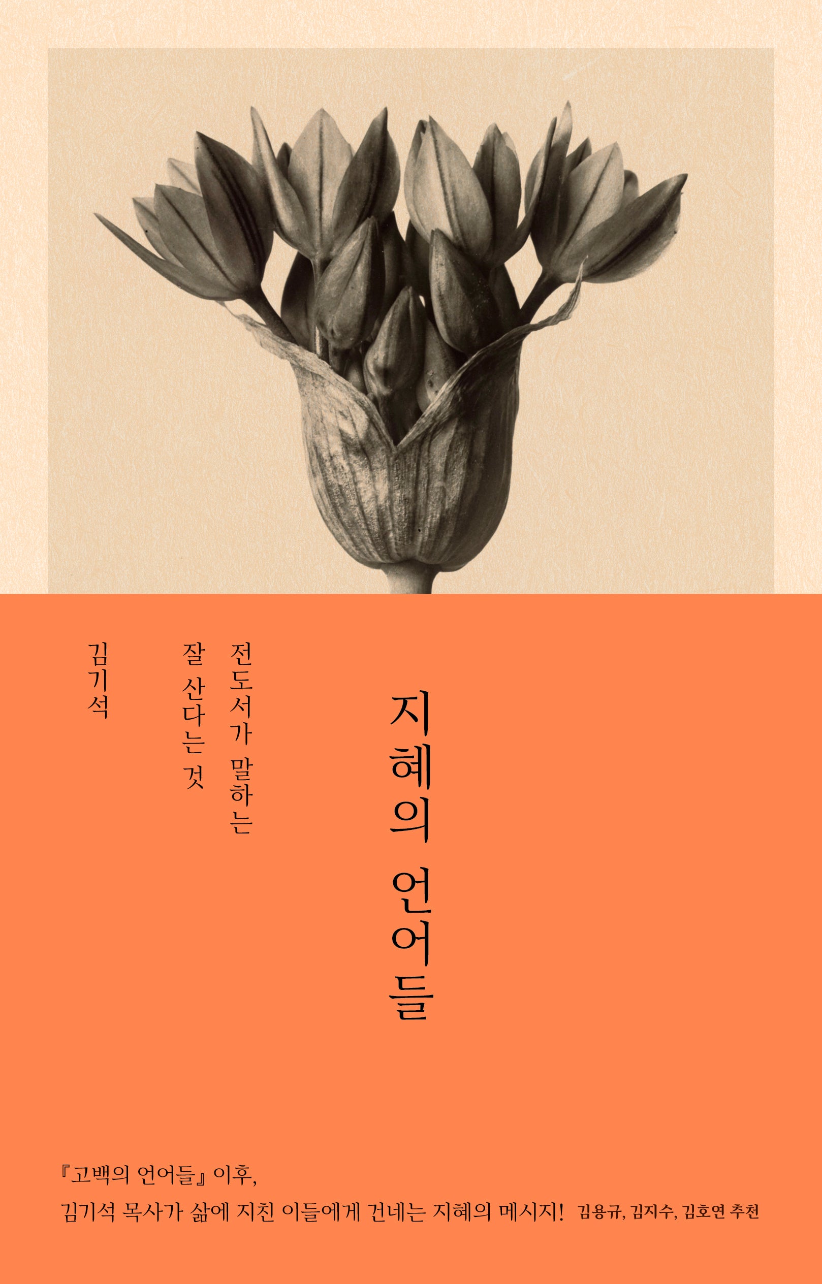 지혜의 언어들(언어들)