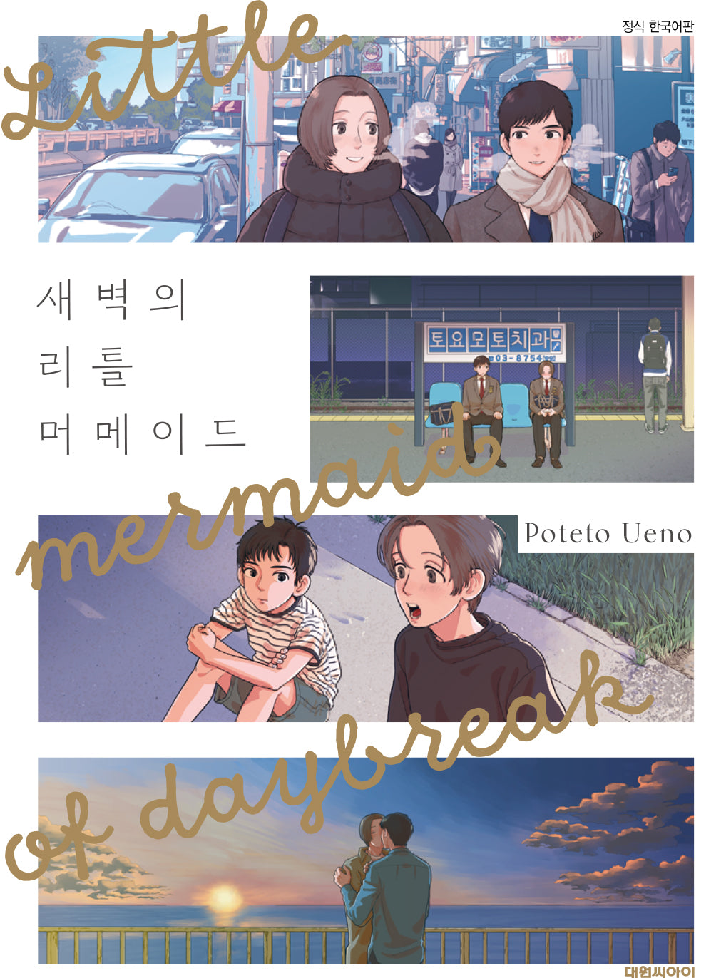 새벽의 리틀 머메이드(B애+ 241)