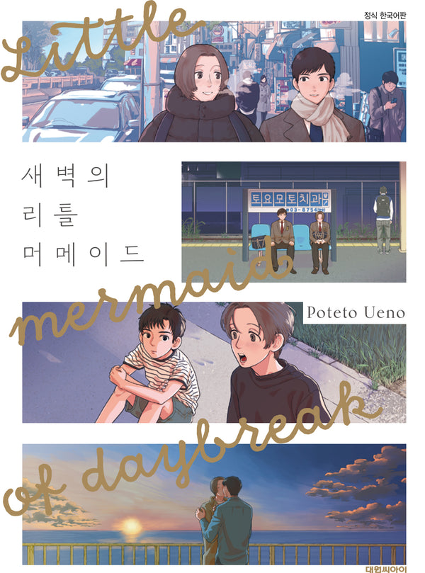 새벽의 리틀 머메이드(B애+ 241)