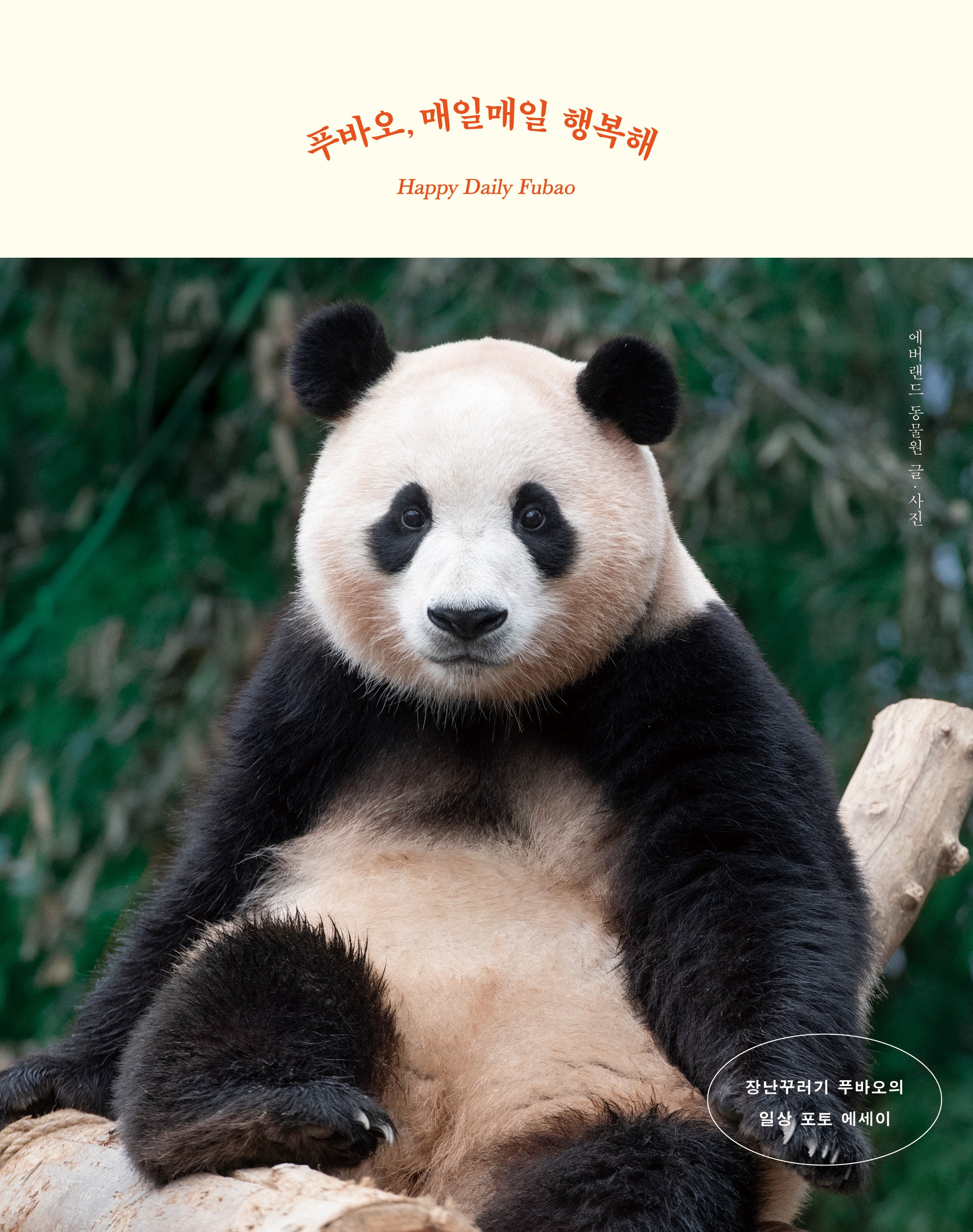 푸바오, 매일매일 행복해(양장본 Hardcover)