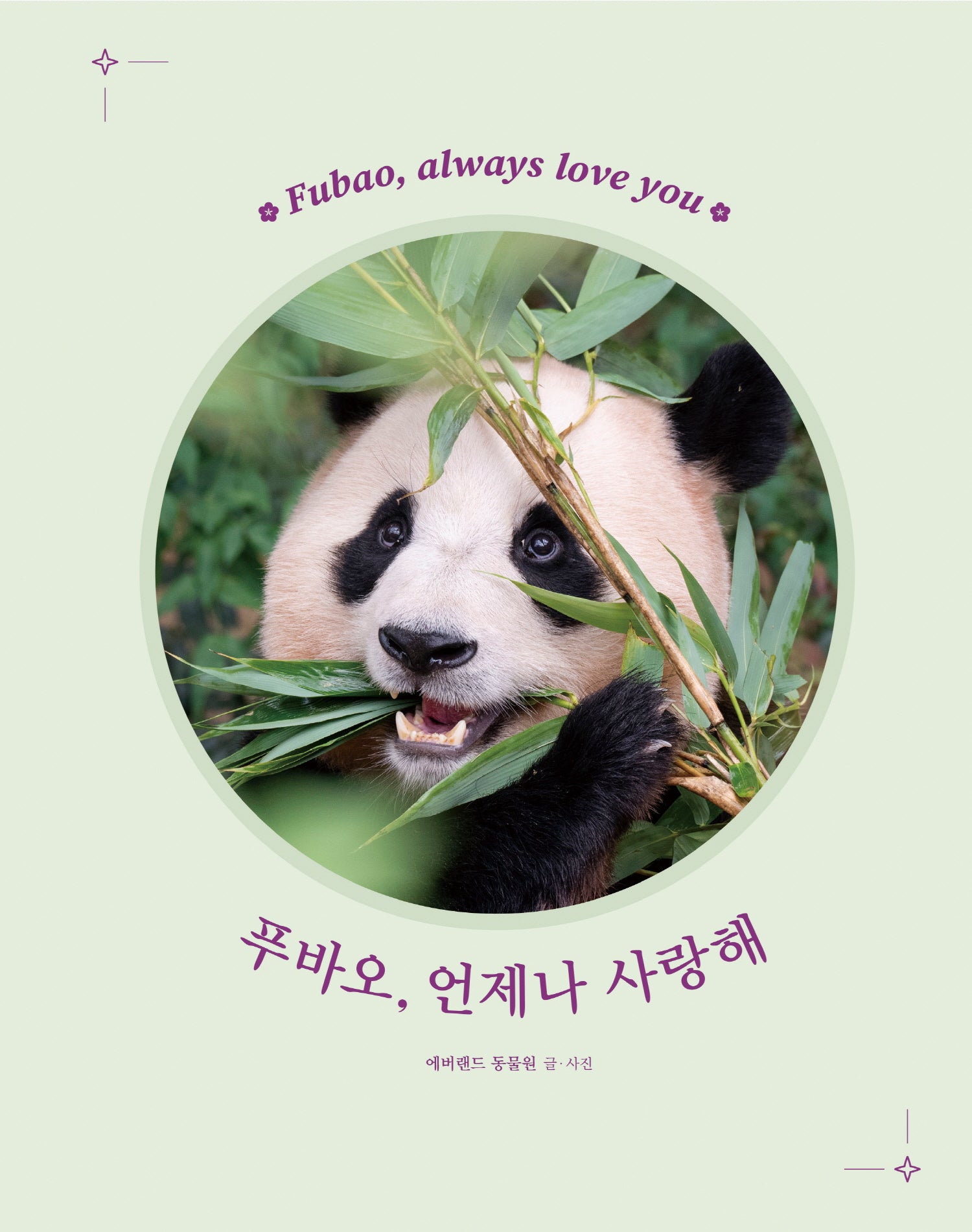 푸바오, 언제나 사랑해(양장본 Hardcover)
