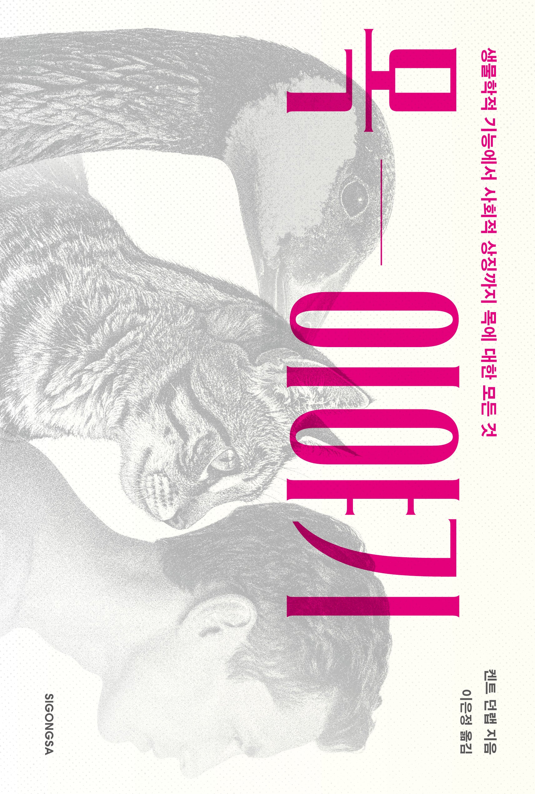 목 이야기
