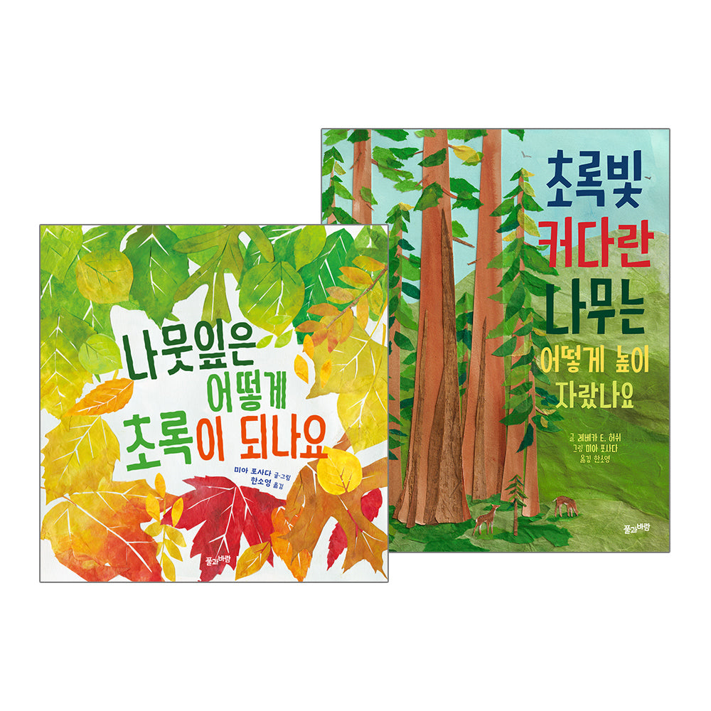 나뭇잎은 어떻게 초록이 되나요 + 초록빛 커다란 나무는 어떻게 높이 자랐나요(전2권)