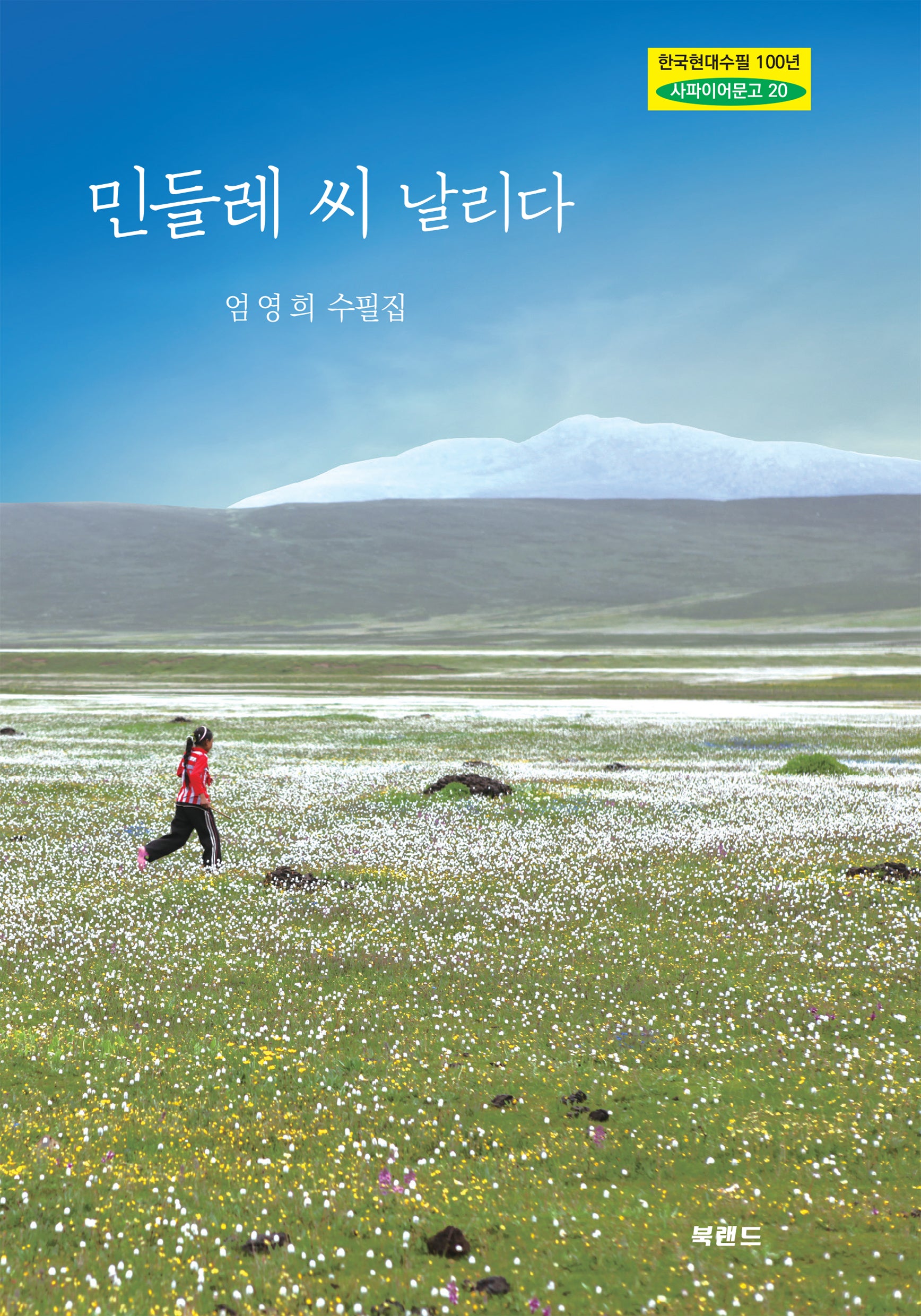 민들레 씨 날리다(한국현대수필 100년 사파이어문고 20)