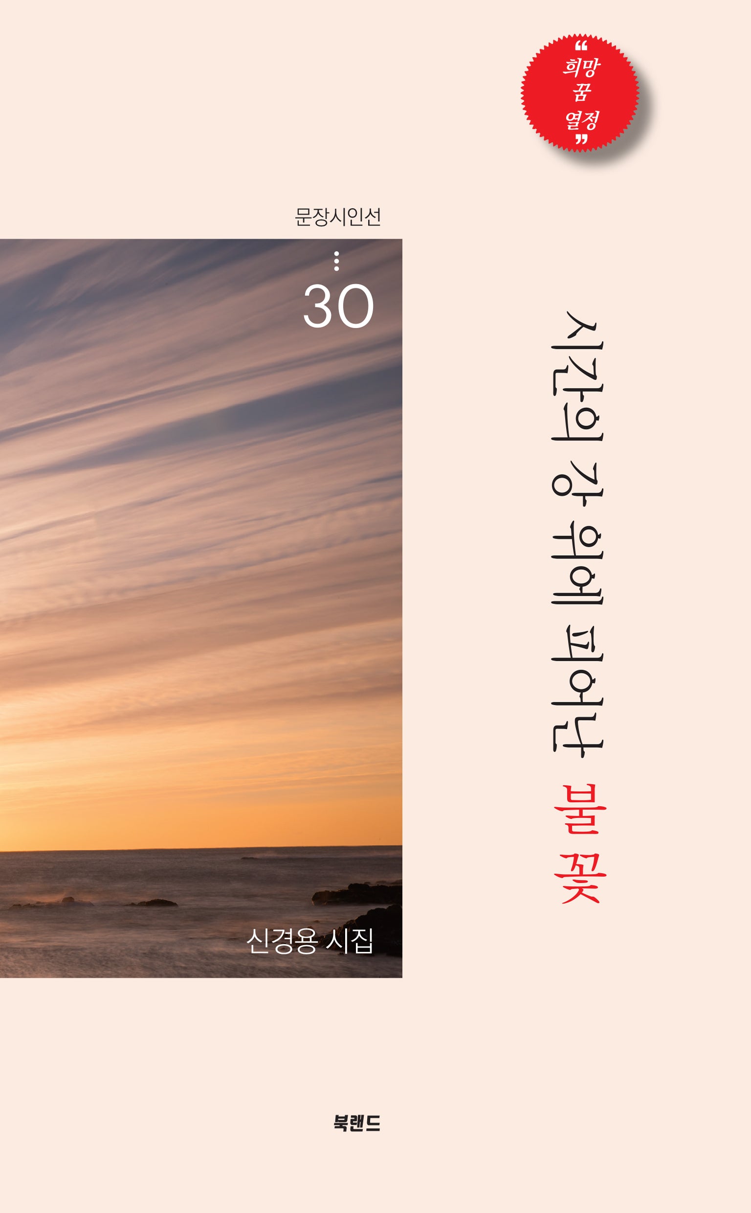 시간의 강 위에 피어난 불꽃(문장시인선 30)