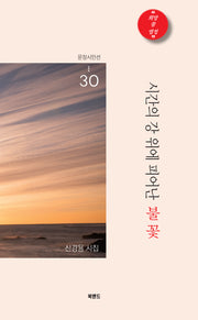 시간의 강 위에 피어난 불꽃(문장시인선 30)